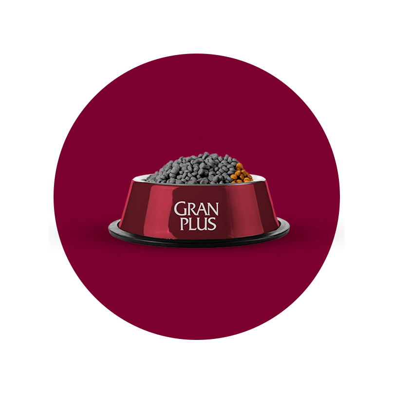 Porciones día actual